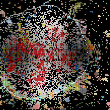 Improving Precision Oncology Using Multiplexed Bioimages and Artificial Intelligence