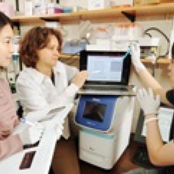 Georgia Tech School of Biology graduate student Ying Shen, assistant professor Francesca Storici and graduate student Kyung Duk Koh